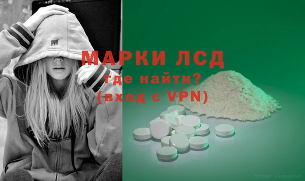 скорость Каменка