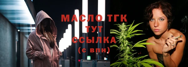 скорость Каменка