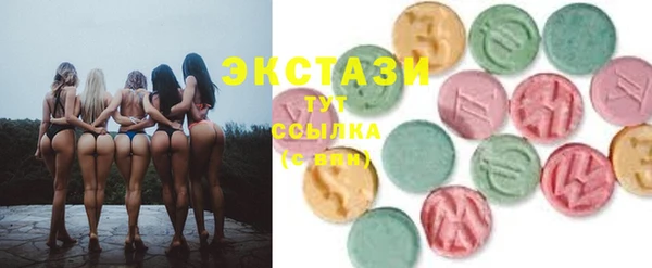 скорость Каменка
