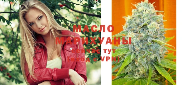 скорость Каменка