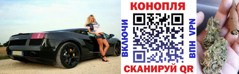 Бошки Шишки планчик  Купить где  Истра 